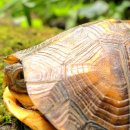 동해-단속-20 이미지