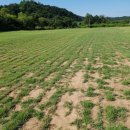 청은농장 이미지