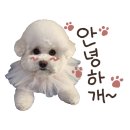 테리네간식 이미지