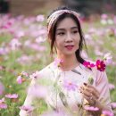 꽃과사랑 - 금산군 비호로 70 | 꽃과사랑