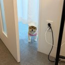 병점1로 | 뷰티공간수: 병점피부관리 전문샵 esv10 모공관리 압출없는 피지관리 후기