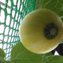 고흥읍사무소 이미지