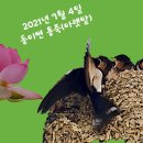 용죽아랫말 이미지