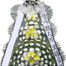 남악 정다운 요양병원 티스토리