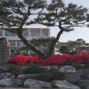 신림면 행정복지센터 이미지