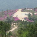 백양산 애진봉 이미지