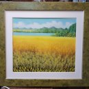 황금보리 이미지