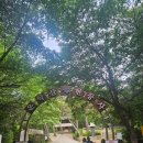 운악산 최단코스 등산기｜출렁다리부터 미륵바위까지, 암릉이 매력적인 3시간 원점회귀 코스
