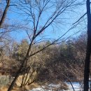 경희프라자약국 이미지