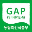 경화농장 네이버블로그