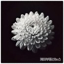 윤서의원 네이버블로그