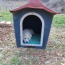 잘커농장 이미지