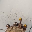 거진고등학교 이미지