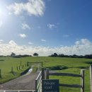 구야목장 이미지