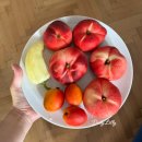 부다페스트 2박 3일 일정 추천｜야경부터 맛집까지 엄마랑 알차게 다녀온 후기