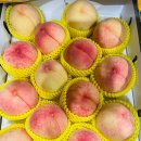 영일농장 이미지