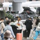 바글바글제주 이미지