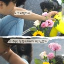 웬만해선 개들을 막을 수 없다 이미지