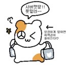 속초컴퓨터세탁공장 | [속초] 갈 때마다 취향 저격 당하는 감성 소품샵, 다다몽 (내돈내산)