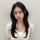 모델헤어아트