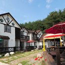 솔숲펜션 이미지