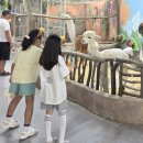 벅스패밀리 | 광주 패밀리랜드 벅스랜드 다녀온 후기