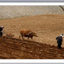 김삿갓면-19 이미지