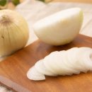 토마토청소 티스토리