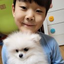 야옹아멍멍해봐 장유점 이미지