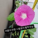 [Tour]#228.마이리얼트립 어린이 도슨트 후기,#115.일본과학미래관/ 비오는날 엄마와 함께 추억만들기 이미지