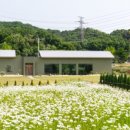 카페지새울