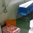 박재홍 농장 이미지