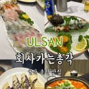 총각네초밥 | [울산 송정 맛집] 송정지구 맛집 회사가는총각 룸식당 총각카세 후기