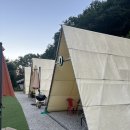 백운장뇌삼관광농원 | [원주펜션추천] 포레스트돔, 원주MT, 원주 글램핑장 솔직 후기