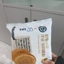 문투어 | 부디 유영하는 삶이기를