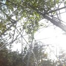 백운상사 이미지