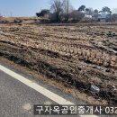 송해면-5 이미지