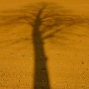 박동농장 이미지