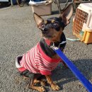 쌍용2동행정복지센터 이미지