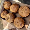 (야간) 달콤한 밤의 구움과자 | 겨울공주 군밤축제 2026 리뷰 기본정보 일정 군밤체험 먹거리 주말 후기