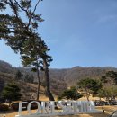 지지힐 | 포천 포레스트힐 CC 솔직 후기｜겨울 라운딩, 생각보다 괜찮았다!
