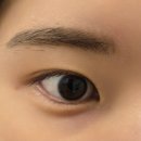 역삼-1488 | 바드리 | 강남 자연스러운 속눈썸펌 잘하는 곳 소요시간 방문후기 before after 역삼속눈썹펌 맛집 총정리