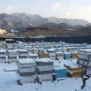 힘찬농장 Daum카페