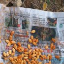 정희슈퍼 이미지