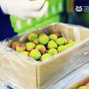 덕흥축산 이미지