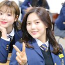 마이스쿨라이프 이미지