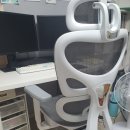 백 산 | 감스트게이밍의자 알아보다가 굿백체어 산 후기