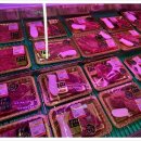 신기정육식당 이미지