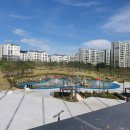 숲속어린이공원 내 이미지