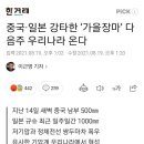 1,000mm=100cm=1m=비조심. 이미지